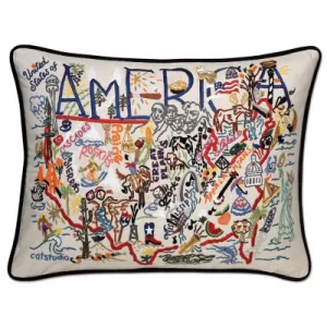 AMERICA PILLOW  BY CATSTUDIO