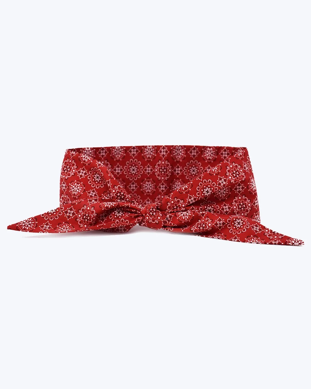 Classic Red Necktie for Dogs (Made in the USA)