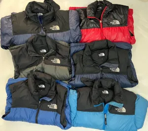 The north face puffer nuptse 700