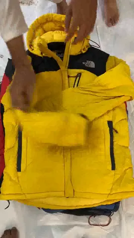 The north face puffer