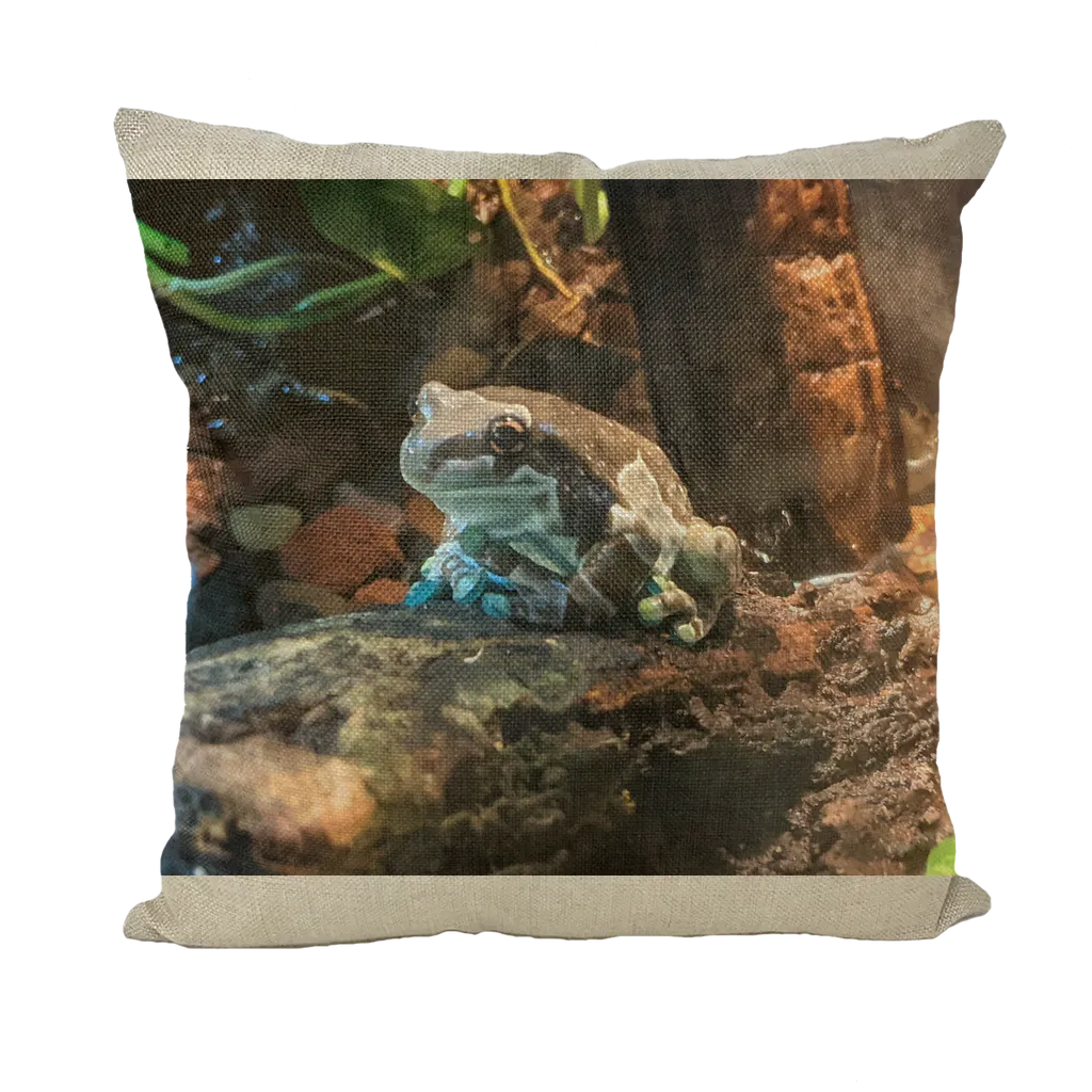 Toad Throw Pillows